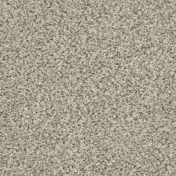 Shaw Floors Value BREAK AWAY (T) - 00110 BUFF