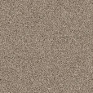 Shaw Floors Value BREAK AWAY (T) - 00112 FLAX