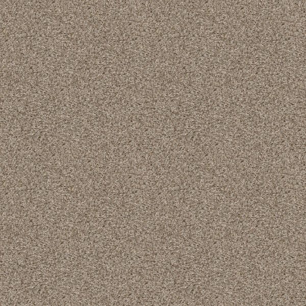 Shaw Floors Value BREAK AWAY (T) - 00112 FLAX