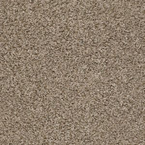 Shaw Floors Value BREAK AWAY (T) - 00113 BLOND WOOD