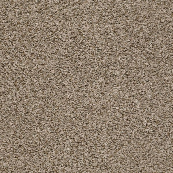 Shaw Floors Value BREAK AWAY (T) - 00113 BLOND WOOD