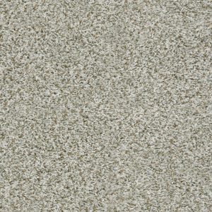 Shaw Floors Value BREAK AWAY (T) - 00120 SNOW PEAK
