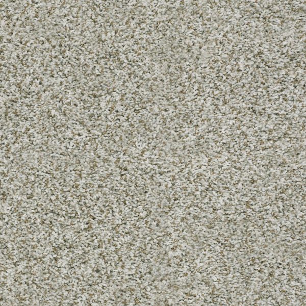 Shaw Floors Value BREAK AWAY (T) - 00120 SNOW PEAK