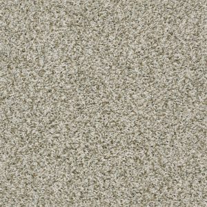Shaw Floors Value BREAK AWAY (T) - 00123 STEPPING STONE