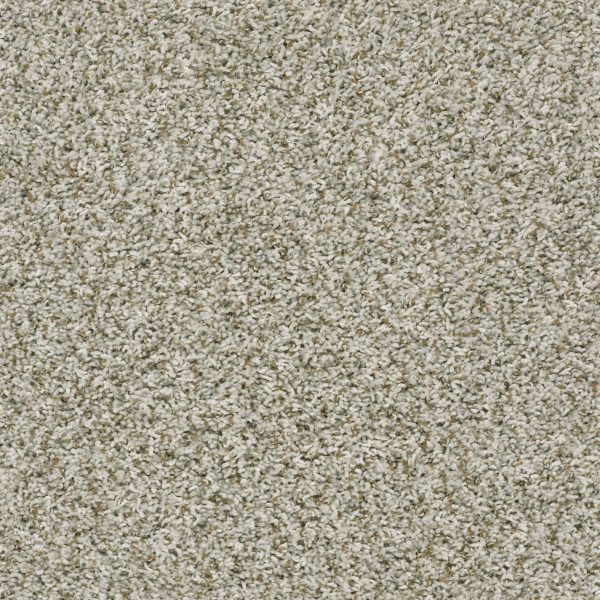 Shaw Floors Value BREAK AWAY (T) - 00123 STEPPING STONE