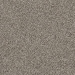 Shaw Floors Value BREAK AWAY (T) - 00510 EXPOSED BEAM