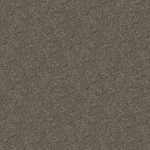Shaw Floors Value BREAK AWAY (T) - 00511 WASHED SUEDE