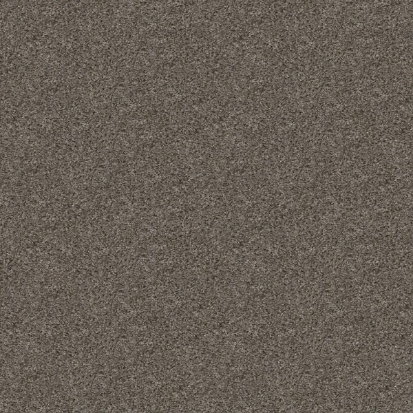 Shaw Floors Value BREAK AWAY (T) - 00511 WASHED SUEDE