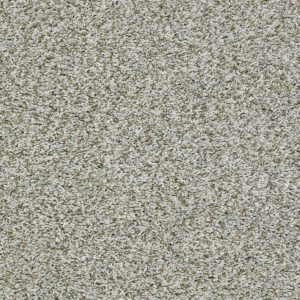 Shaw Floors Value BREAK AWAY (T) - 00520 CHROME