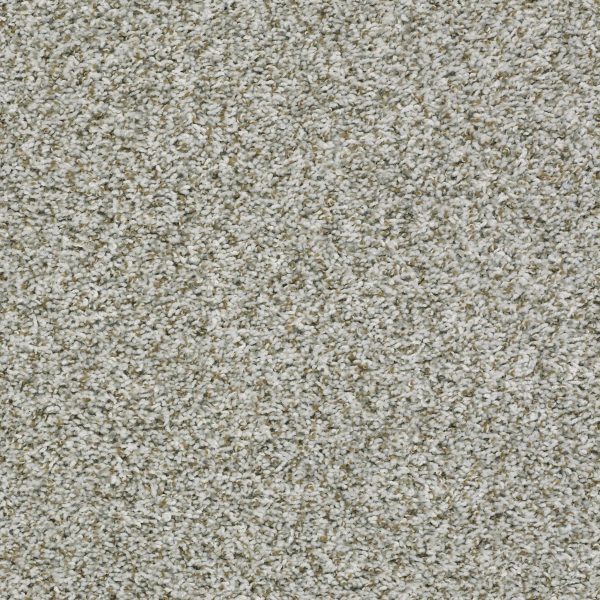 Shaw Floors Value BREAK AWAY (T) - 00520 CHROME