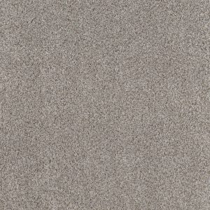 Shaw Floors Value BREAK AWAY (T) - 00521 WINDY CITY