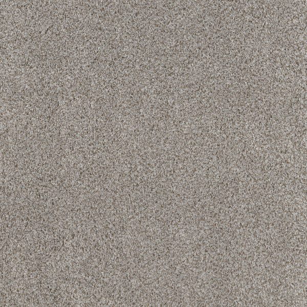 Shaw Floors Value BREAK AWAY (T) - 00521 WINDY CITY