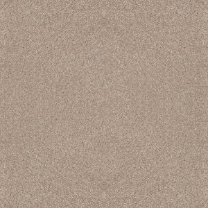 Shaw Floors Retail AFTER IT I - 00100 SAND CASTLE