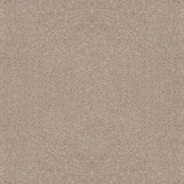 Shaw Floors Retail AFTER IT I - 00100 SAND CASTLE