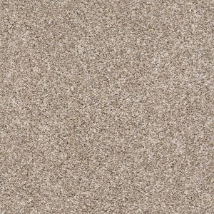 Shaw Floors Retail AFTER IT I - 00101 NEUTRAL GROUND