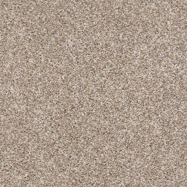 Shaw Floors Retail AFTER IT I - 00101 NEUTRAL GROUND