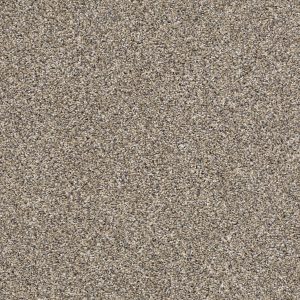 Shaw Floors Retail AFTER IT I - 00102 PEBBLE WALK