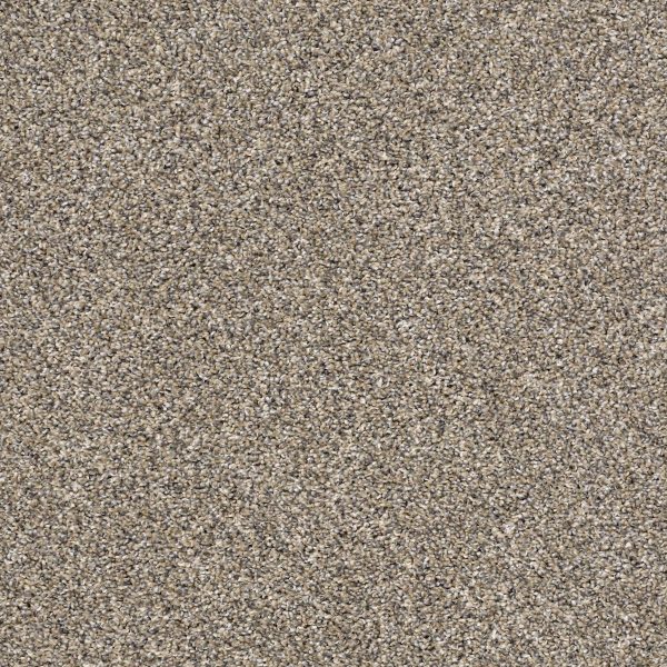 Shaw Floors Retail AFTER IT I - 00102 PEBBLE WALK