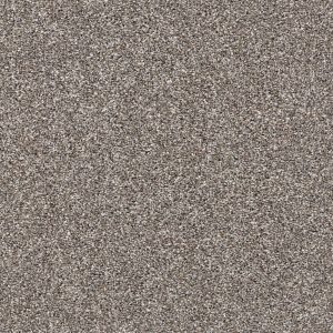 Shaw Floors Retail AFTER IT I - 00700 TREE HOUSE