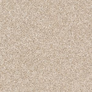 Shaw Floors Retail AFTER IT II - 00100 SAND CASTLE
