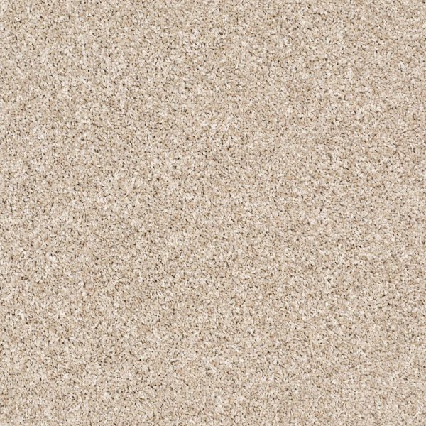 Shaw Floors Retail AFTER IT II - 00100 SAND CASTLE
