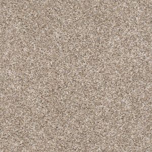 Shaw Floors Retail AFTER IT II - 00101 NEUTRAL GROUND