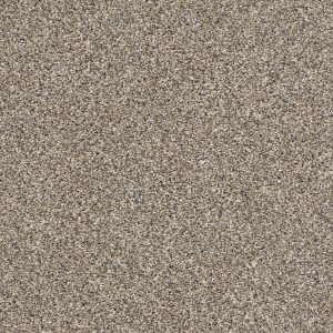 Shaw Floors Retail AFTER IT II - 00102 PEBBLE WALK