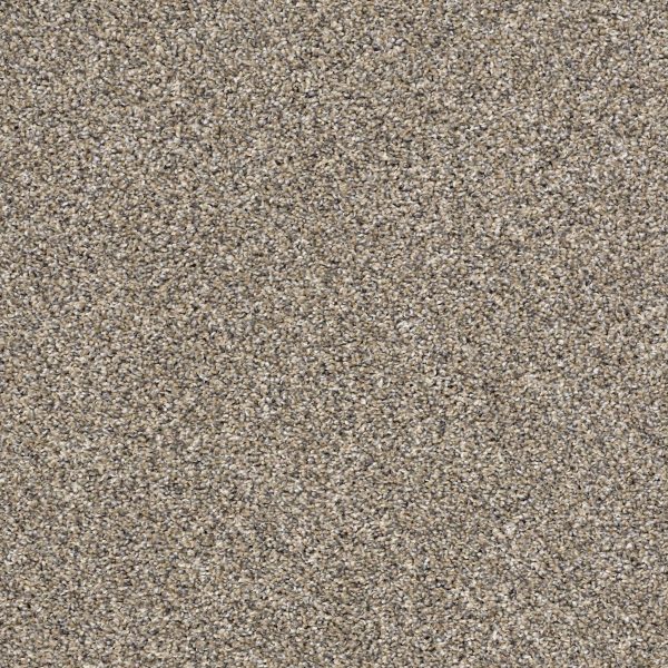 Shaw Floors Retail AFTER IT II - 00102 PEBBLE WALK
