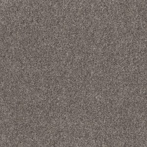 Shaw Floors Retail CALM SIMPLICITY I - 00116 SHORELINE