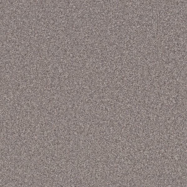 Shaw Floors Retail CALM SIMPLICITY I - 00119 KIDSKIN