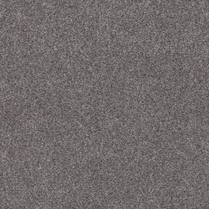 Shaw Floors Retail CALM SIMPLICITY I - 00510 SILVER LINING