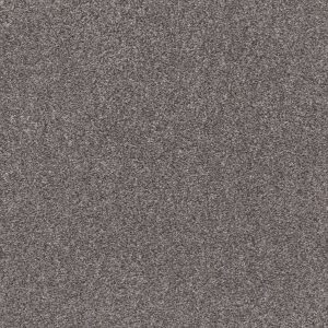 Shaw Floors Retail CALM SIMPLICITY I - 00513 HARBOR DOCK