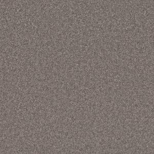 Shaw Floors Retail CALM SIMPLICITY I - 00711 DESERT VIEW