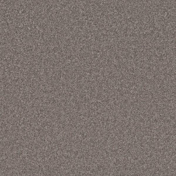 Shaw Floors Retail CALM SIMPLICITY I - 00711 DESERT VIEW