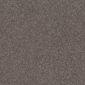 Shaw Floors Retail CALM SIMPLICITY I - 00714 ANTELOPE