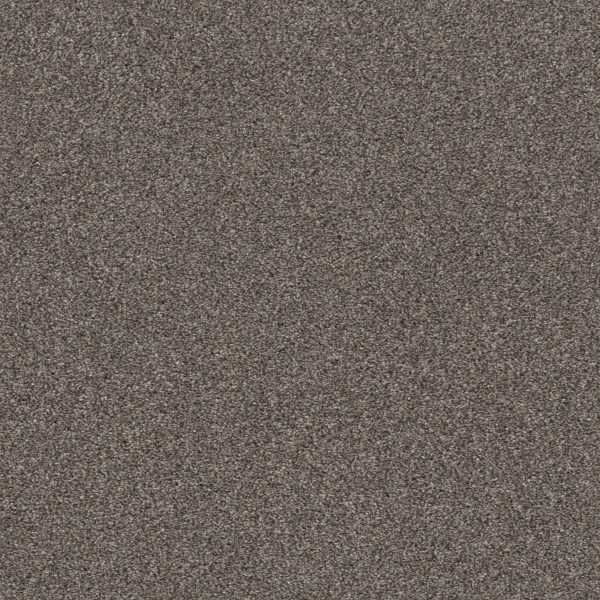 Shaw Floors Retail CALM SIMPLICITY I - 00714 ANTELOPE