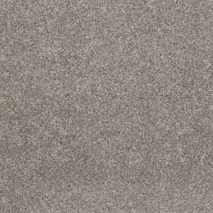 Shaw Floors Retail CALM SIMPLICITY II - 00113 WASHED LINEN