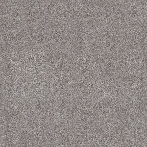 Shaw Floors Retail CALM SIMPLICITY II - 00115 ENGLISH STREETS