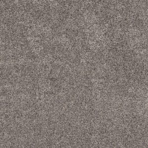 Shaw Floors Retail CALM SIMPLICITY II - 00116 SHORELINE