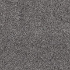 Shaw Floors Retail CALM SIMPLICITY II - 00510 SILVER LINING