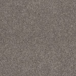 Shaw Floors Retail CALM SIMPLICITY II - 00512 NEWSTONE HAVEN