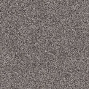 Shaw Floors Retail CALM SIMPLICITY II - 00513 HARBOR DOCK
