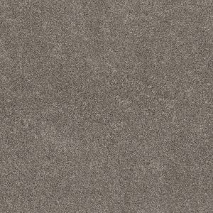 Shaw Floors Retail CALM SIMPLICITY II - 00711 DESERT VIEW