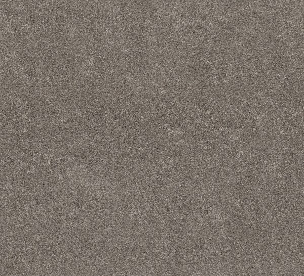 Shaw Floors Retail CALM SIMPLICITY II - 00711 DESERT VIEW