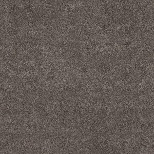 Shaw Floors Retail CALM SIMPLICITY II - 00714 ANTELOPE