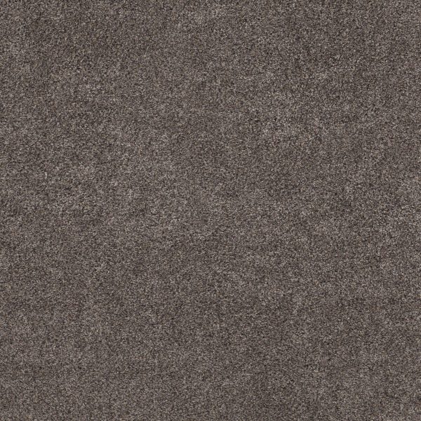 Shaw Floors Retail CALM SIMPLICITY II - 00714 ANTELOPE