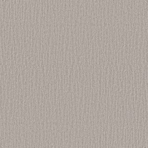 Shaw Floors Retail NATURE WITHIN - 00103 WASHED LINEN