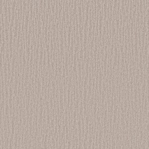 Shaw Floors Retail NATURE WITHIN - 00106 SHORELINE