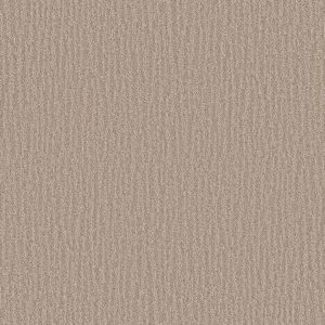 Shaw Floors Retail NATURE WITHIN - 00109 KIDSKIN