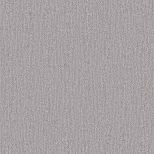 Shaw Floors Retail NATURE WITHIN - 00500 SILVER LINING